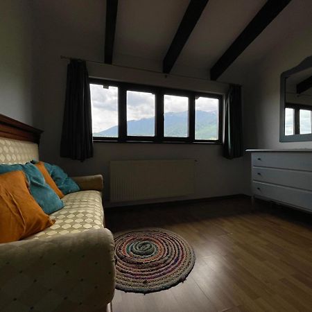 Pensiunea La Maison 브란 외부 사진